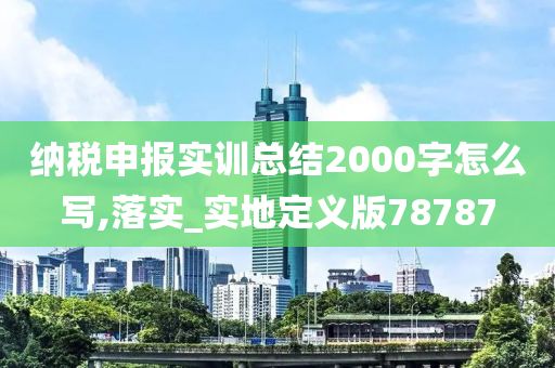 纳税申报实训总结2000字怎么写,落实_实地定义版78787