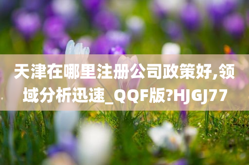 天津在哪里注册公司政策好,领域分析迅速_QQF版?HJGJ77