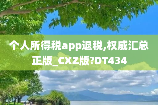 个人所得税app退税,权威汇总正版_CXZ版?DT434