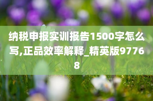 纳税申报实训报告1500字怎么写,正品效率解释_精英版97768