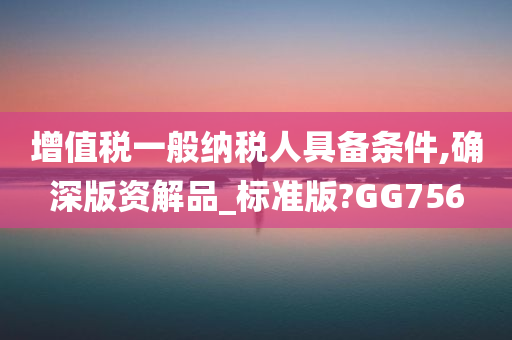 增值税一般纳税人具备条件,确深版资解品_标准版?GG756