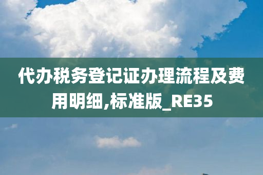 代办税务登记证办理流程及费用明细,标准版_RE35