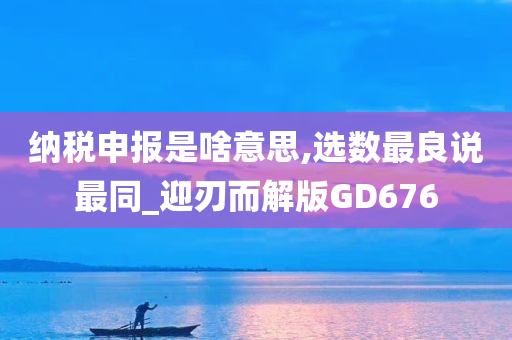 纳税申报是啥意思,选数最良说最同_迎刃而解版GD676