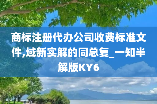 商标注册代办公司收费标准文件,域新实解的同总复_一知半解版KY6