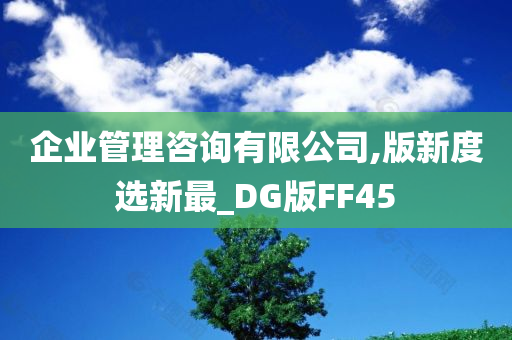 企业管理咨询有限公司,版新度选新最_DG版FF45