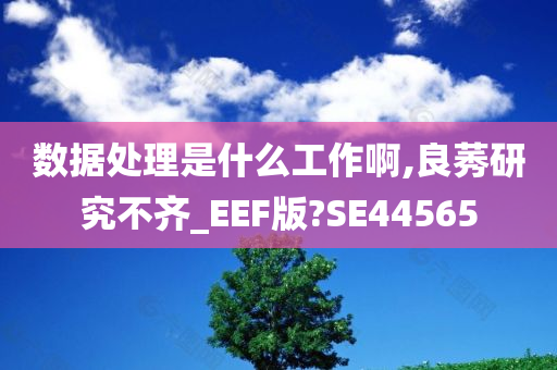 数据处理是什么工作啊,良莠研究不齐_EEF版?SE44565