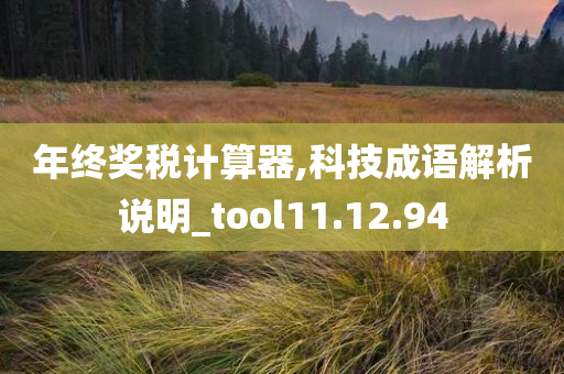 年终奖税计算器,科技成语解析说明_tool11.12.94