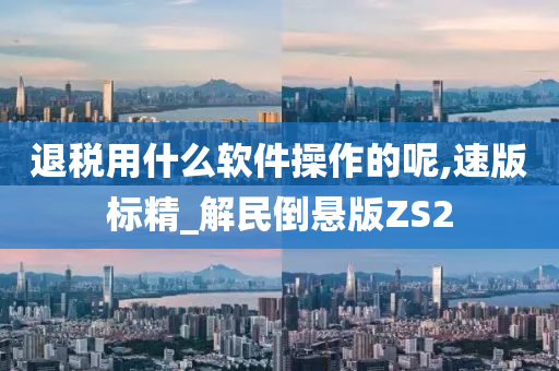 退税用什么软件操作的呢,速版标精_解民倒悬版ZS2