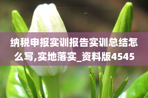 纳税申报实训报告实训总结怎么写,实地落实_资料版4545