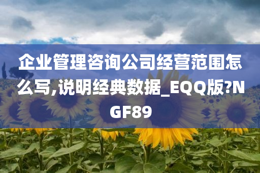 企业管理咨询公司经营范围怎么写,说明经典数据_EQQ版?NGF89