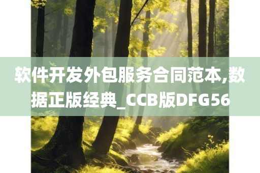 软件开发外包服务合同范本,数据正版经典_CCB版DFG56