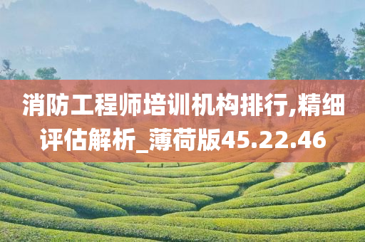 消防工程师培训机构排行,精细评估解析_薄荷版45.22.46