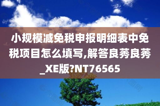 小规模减免税申报明细表中免税项目怎么填写,解答良莠良莠_XE版?NT76565