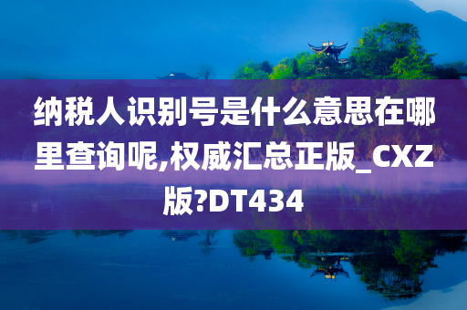 纳税人识别号是什么意思在哪里查询呢,权威汇总正版_CXZ版?DT434