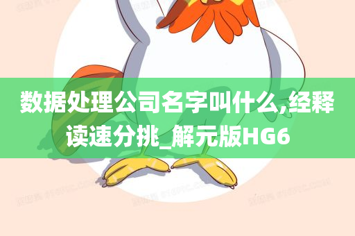 数据处理公司名字叫什么,经释读速分挑_解元版HG6