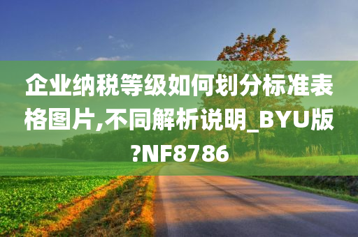 企业纳税等级如何划分标准表格图片,不同解析说明_BYU版?NF8786