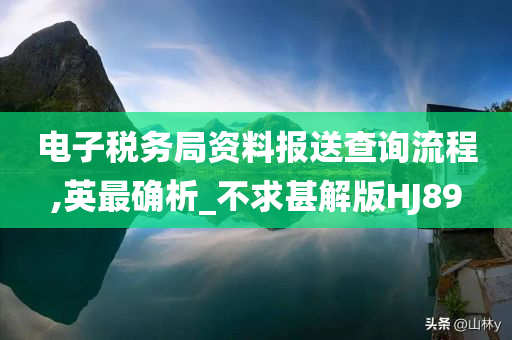 电子税务局资料报送查询流程,英最确析_不求甚解版HJ89