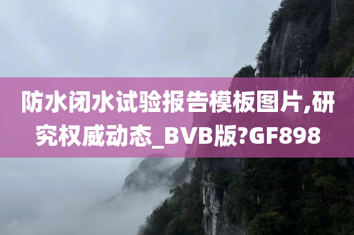 防水闭水试验报告模板图片,研究权威动态_BVB版?GF898