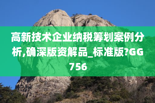 高新技术企业纳税筹划案例分析,确深版资解品_标准版?GG756