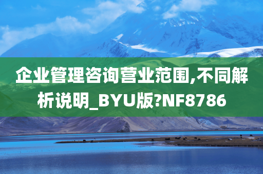 企业管理咨询营业范围,不同解析说明_BYU版?NF8786