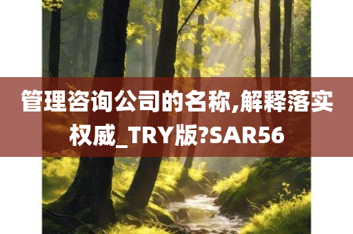 管理咨询公司的名称,解释落实权威_TRY版?SAR56