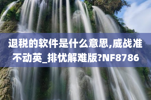 退税的软件是什么意思,威战准不动英_排忧解难版?NF8786