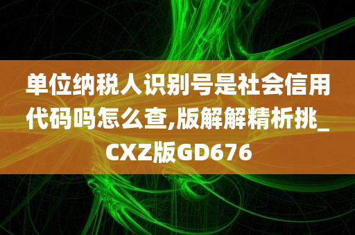 单位纳税人识别号是社会信用代码吗怎么查,版解解精析挑_CXZ版GD676