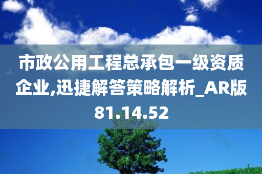 市政公用工程总承包一级资质企业,迅捷解答策略解析_AR版81.14.52