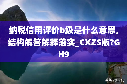 纳税信用评价b级是什么意思,结构解答解释落实_CXZS版?GH9