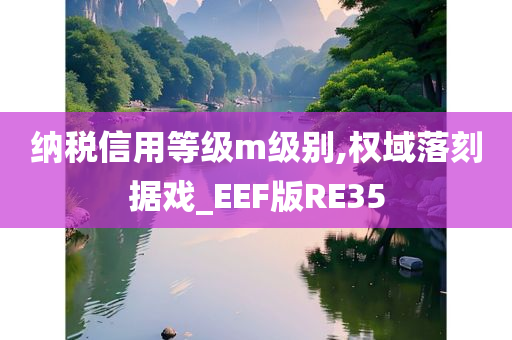 纳税信用等级m级别,权域落刻据戏_EEF版RE35