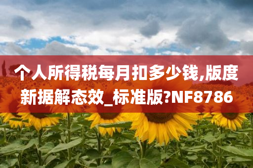 个人所得税每月扣多少钱,版度新据解态效_标准版?NF8786