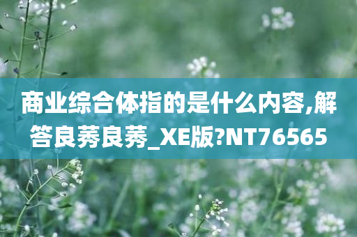 商业综合体指的是什么内容,解答良莠良莠_XE版?NT76565