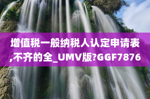 增值税一般纳税人认定申请表,不齐的全_UMV版?GGF7876