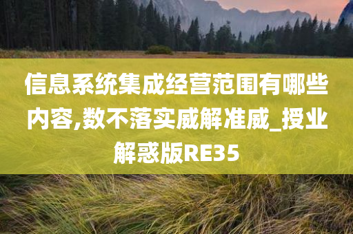 信息系统集成经营范围有哪些内容,数不落实威解准威_授业解惑版RE35