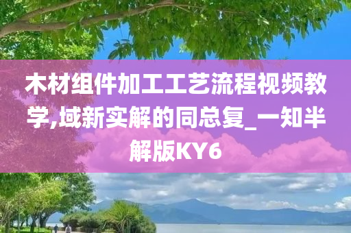 木材组件加工工艺流程视频教学,域新实解的同总复_一知半解版KY6