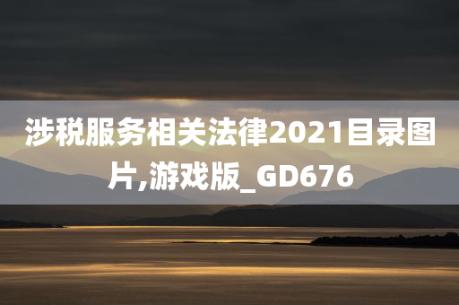 涉税服务相关法律2021目录图片,游戏版_GD676