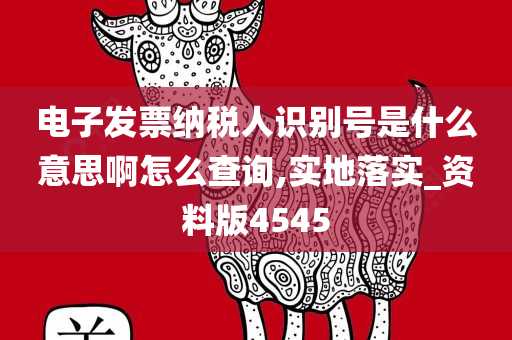 电子发票纳税人识别号是什么意思啊怎么查询,实地落实_资料版4545