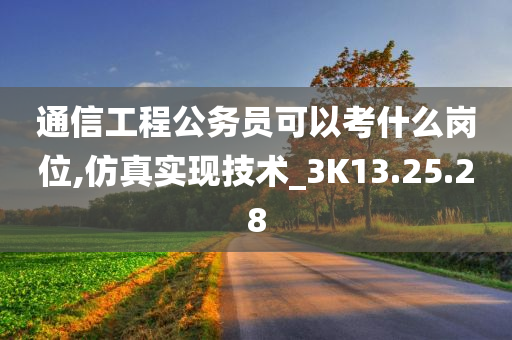 通信工程公务员可以考什么岗位,仿真实现技术_3K13.25.28