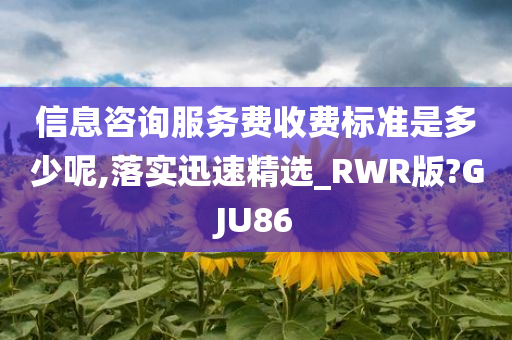 信息咨询服务费收费标准是多少呢,落实迅速精选_RWR版?GJU86