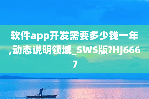 软件app开发需要多少钱一年,动态说明领域_SWS版?HJ6667