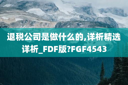 退税公司是做什么的,详析精选详析_FDF版?FGF4543