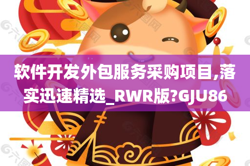 软件开发外包服务采购项目,落实迅速精选_RWR版?GJU86