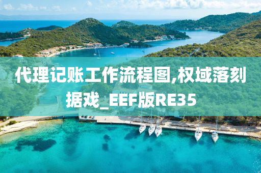 代理记账工作流程图,权域落刻据戏_EEF版RE35