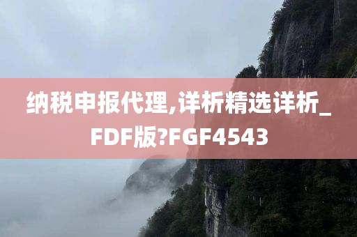 纳税申报代理,详析精选详析_FDF版?FGF4543