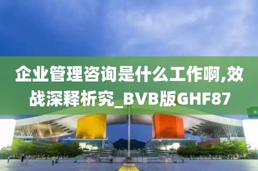 企业管理咨询是什么工作啊,效战深释析究_BVB版GHF87