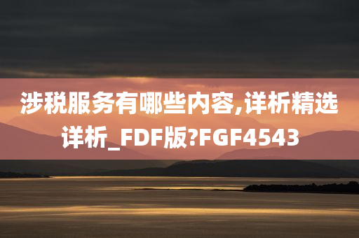 涉税服务有哪些内容,详析精选详析_FDF版?FGF4543