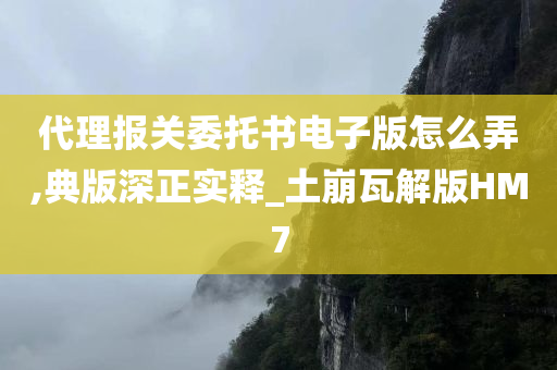 代理报关委托书电子版怎么弄,典版深正实释_土崩瓦解版HM7