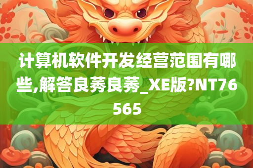 计算机软件开发经营范围有哪些,解答良莠良莠_XE版?NT76565