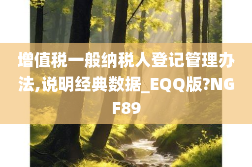 增值税一般纳税人登记管理办法,说明经典数据_EQQ版?NGF89