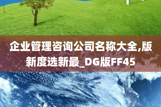 企业管理咨询公司名称大全,版新度选新最_DG版FF45